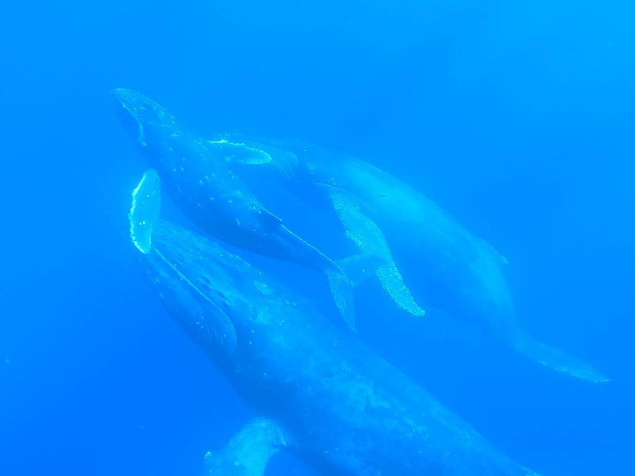 �����͂���Ȋ���