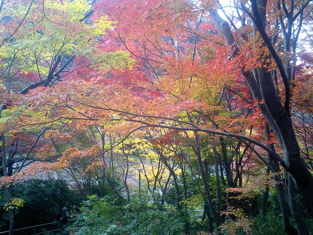 Rӂ̎lGƂ̎RAĊy݂܂B