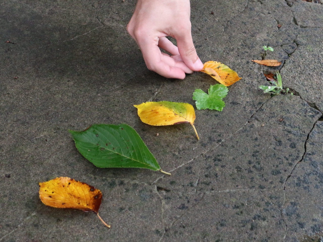 tς낢BR̔EsvcɋCÂ܂B