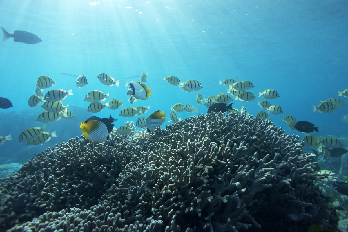 r[`̌_CrOłł镗iBޑzŃbNXx120%