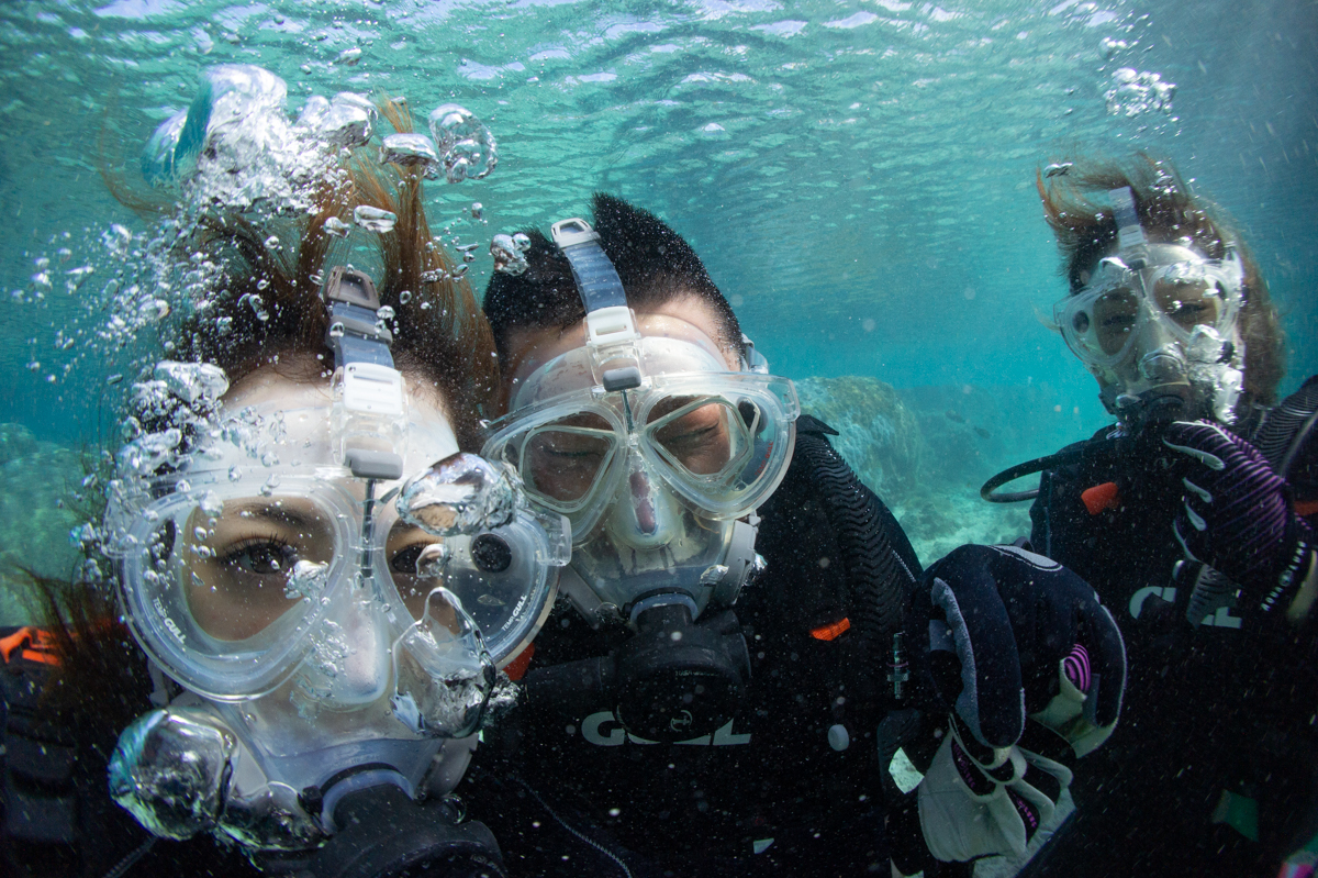 ttFCX}XNŕs͈؂܂B̕B͑S߂Ă̑̌_CrÔqlłB