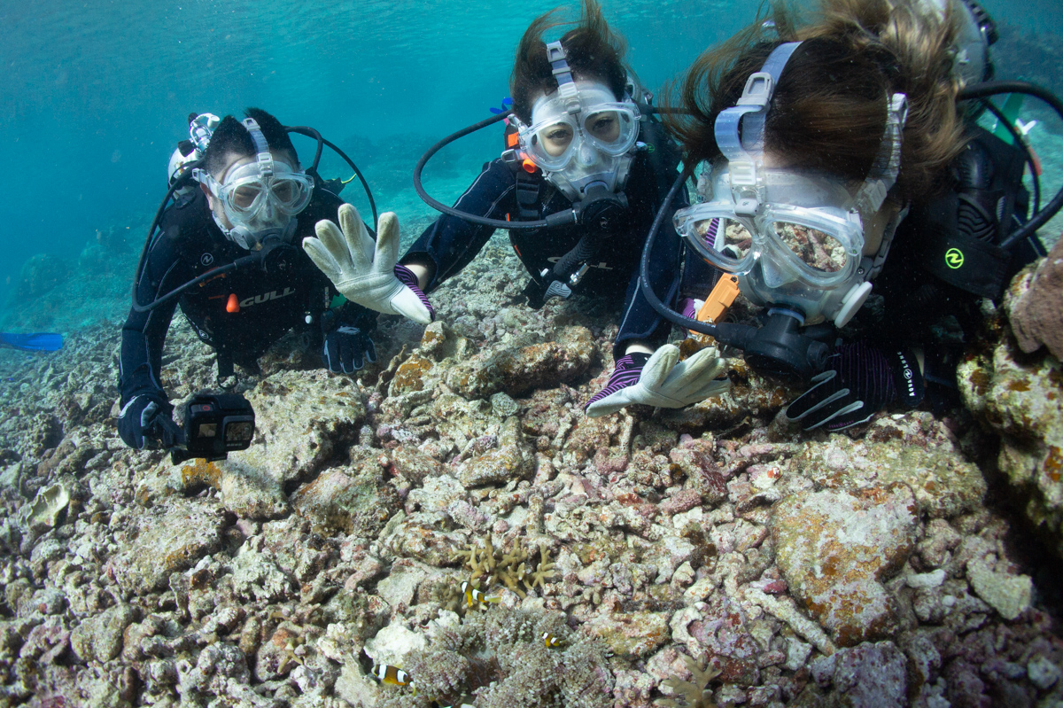 ȂɎRȑ̌_CrO͂ȂȂ܂B