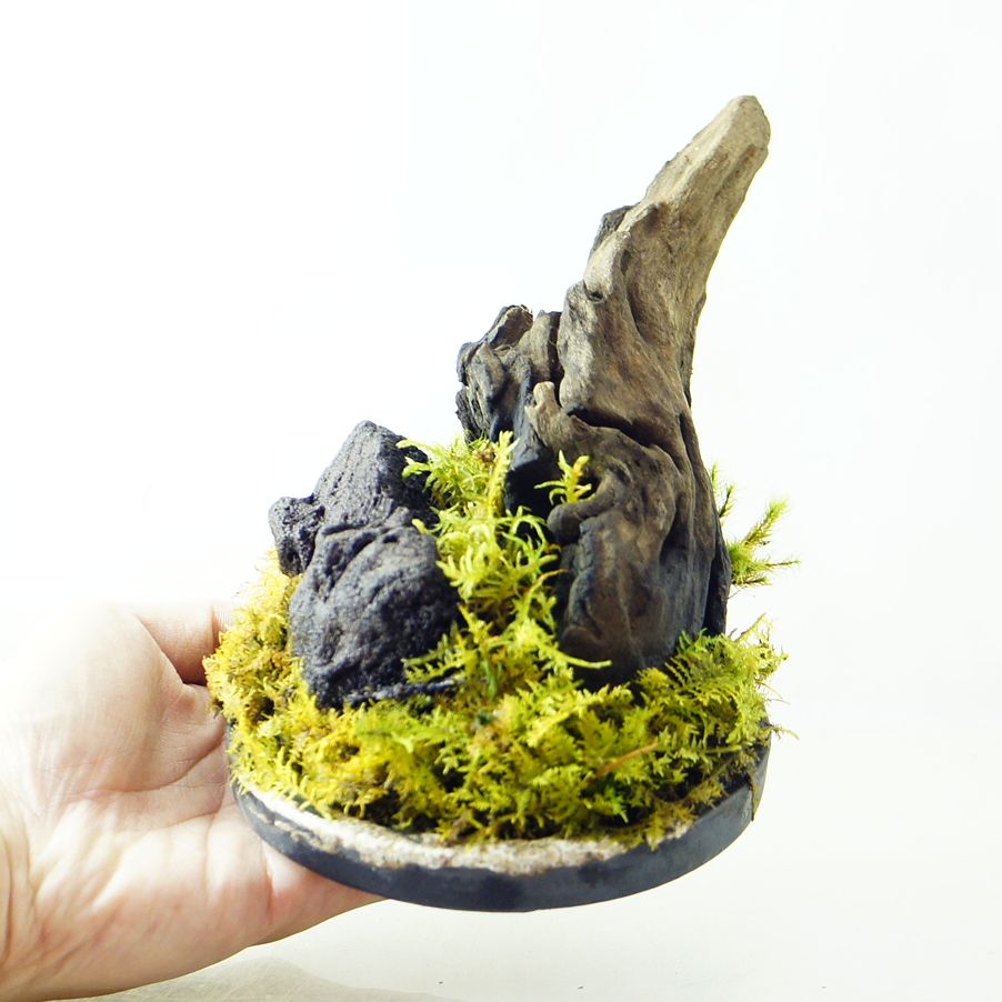 MyĂ̑ۖ~i͘a̕îɃsb^ÎЂTCY50cmȏ̕܂ŏ펞50_̍݌ɂ炨Iђ܂B