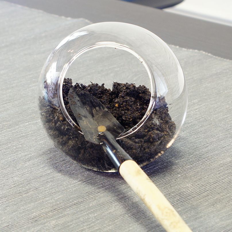 ȂqlłDVъoŕی҂̕ƈꏏɊyŒ܂B