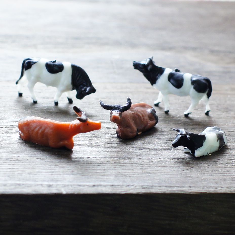 ~j`A͌^100ވȏ̒炨Iђ܂I