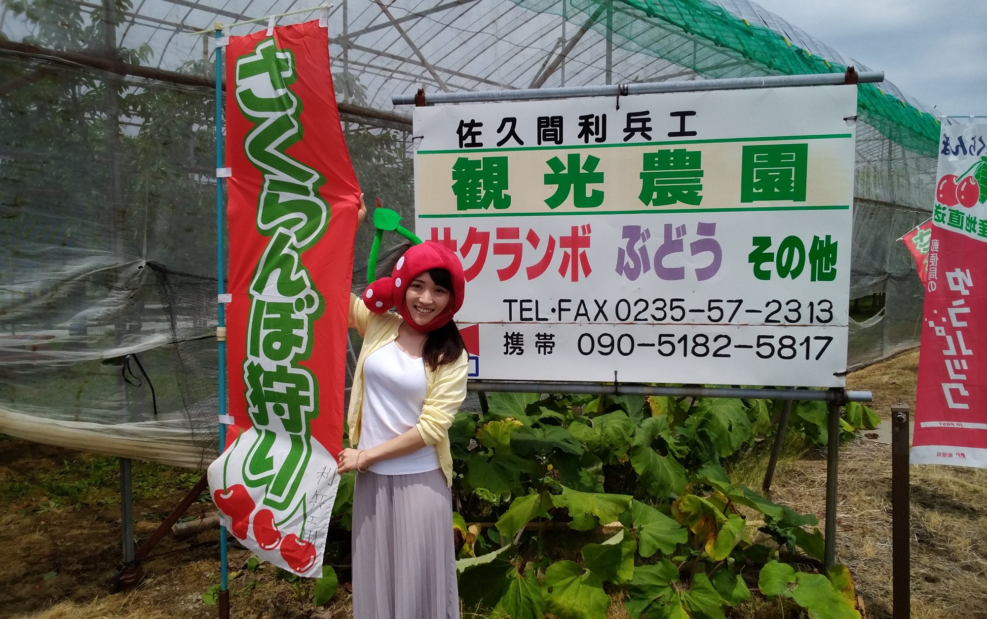 加茂水族館や出羽三山に程近い【人気No.1プラン55分さくらんぼ狩り♪】屋根付き...