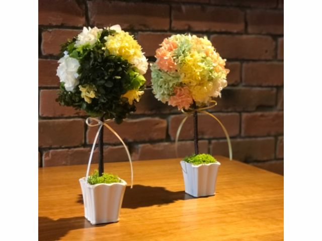 プリザーブドフラワー 紫陽花で作るトピアリーアレンジ Atelierサクラ咲ク じゃらん遊び体験 プリザーブドフラワー 紫陽花で作るトピアリーアレンジ Atelierサクラ咲ク じゃらん遊び体験