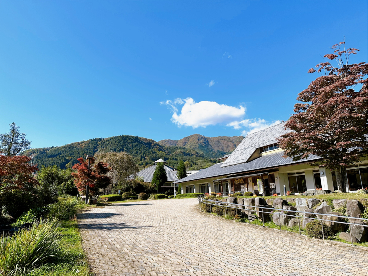 山奥の秘湯【奥平温泉遊神館】