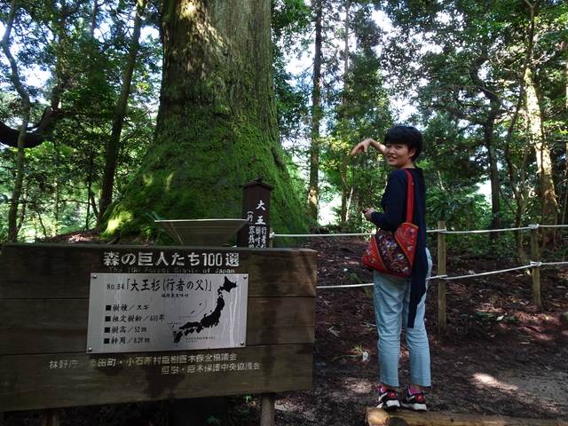 sҐ́A600NƂ鐙̋،QŁAC̃p[X|bgł