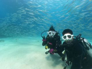 体験ビーチダイビング