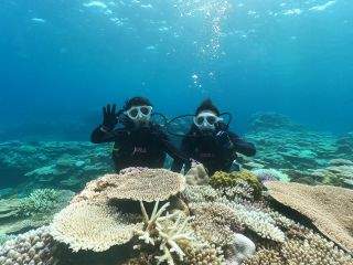 ボート体験ダイビング