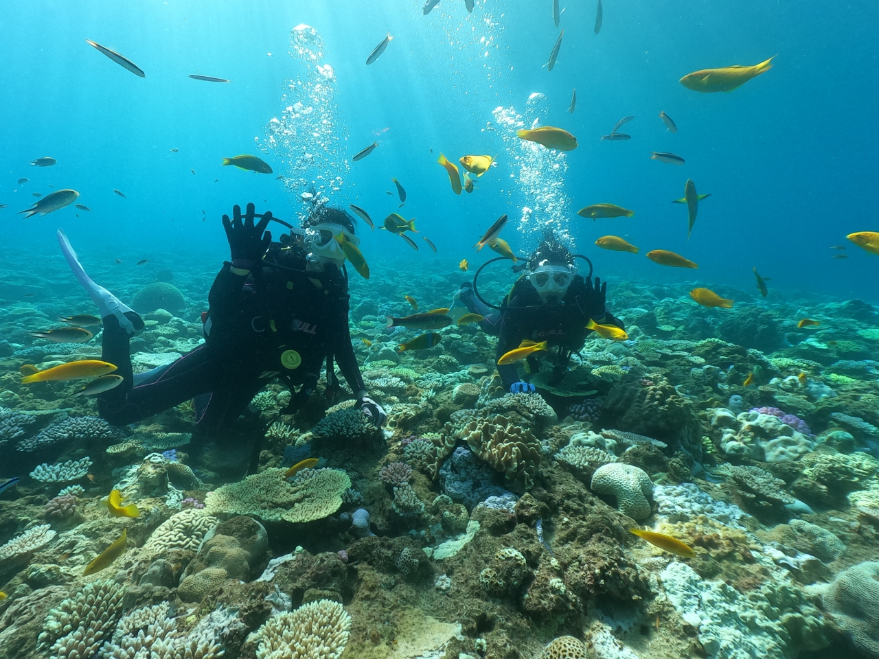 ボート体験ダイビング