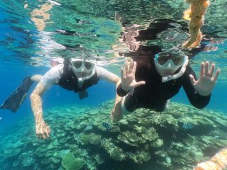 ボートスノーケリング