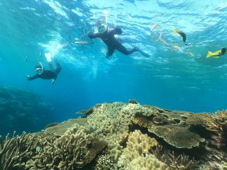 ボートスノーケリング