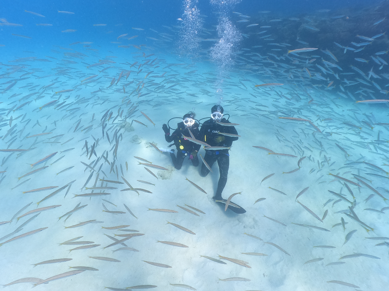 �̌��r�[�`�_�C�r���O