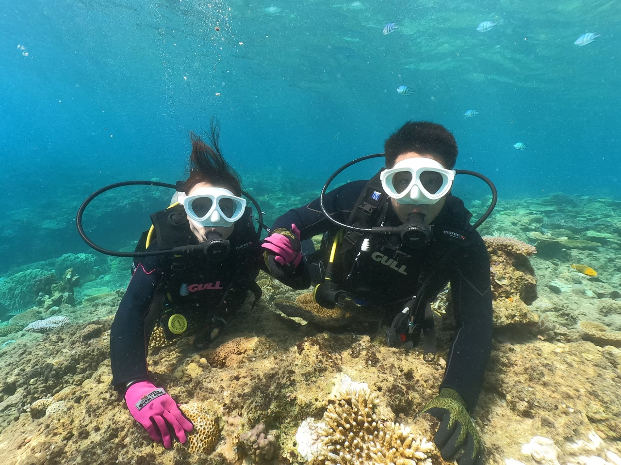 �̌��r�[�`�_�C�r���O