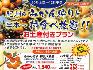 紀州本場のみかん狩りはいかが?ご家族・グループ・お一人でもご参加いただけます。開園時間内いつでも体験いただけます。悪天候時店内食べ放題に変更可ご相談ください。