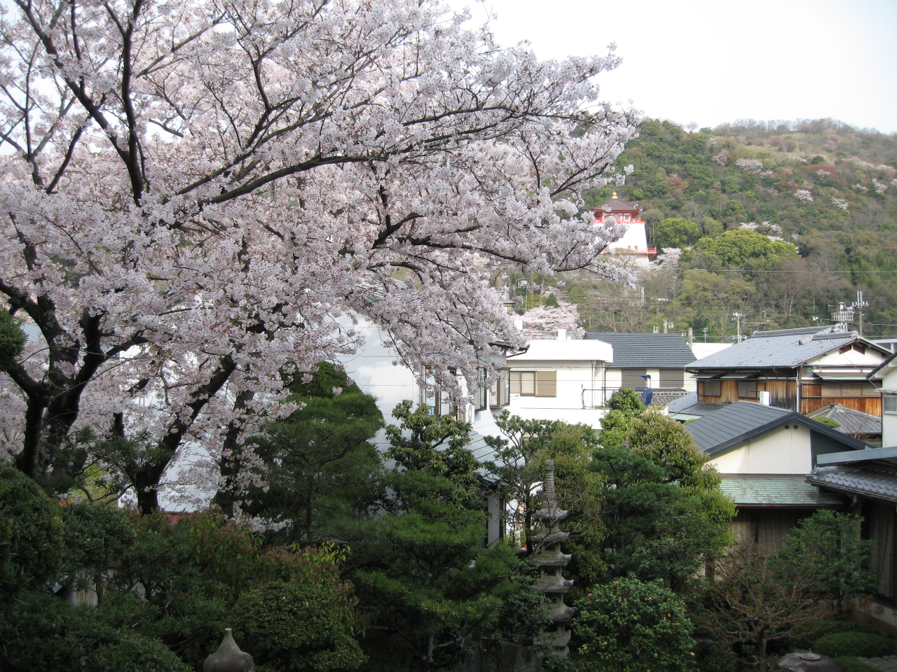 地域共通クーポン可 レトロなお座敷でゆったり 季節の和創ランチ1 650円 プラン 紀三井寺ガーデンホテルはやし じゃらん遊び体験 地域共通クーポン可 レトロなお座敷でゆったり 季節の和創ランチ1 650円 プラン 紀三井寺ガーデンホテルはやし じゃらん遊び体験