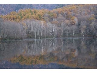 風がない時にしか映らない鏡池は早朝5時がオススメです