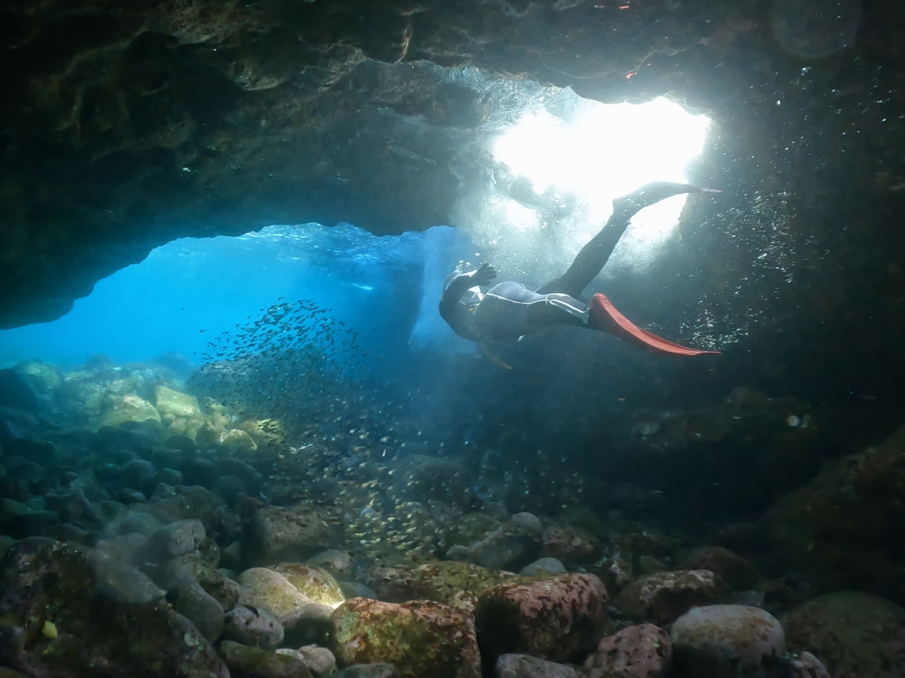 【初心者向け・伊豆の海でスキンダイビング】<施設利用・器材レンタル込み>★お写真...