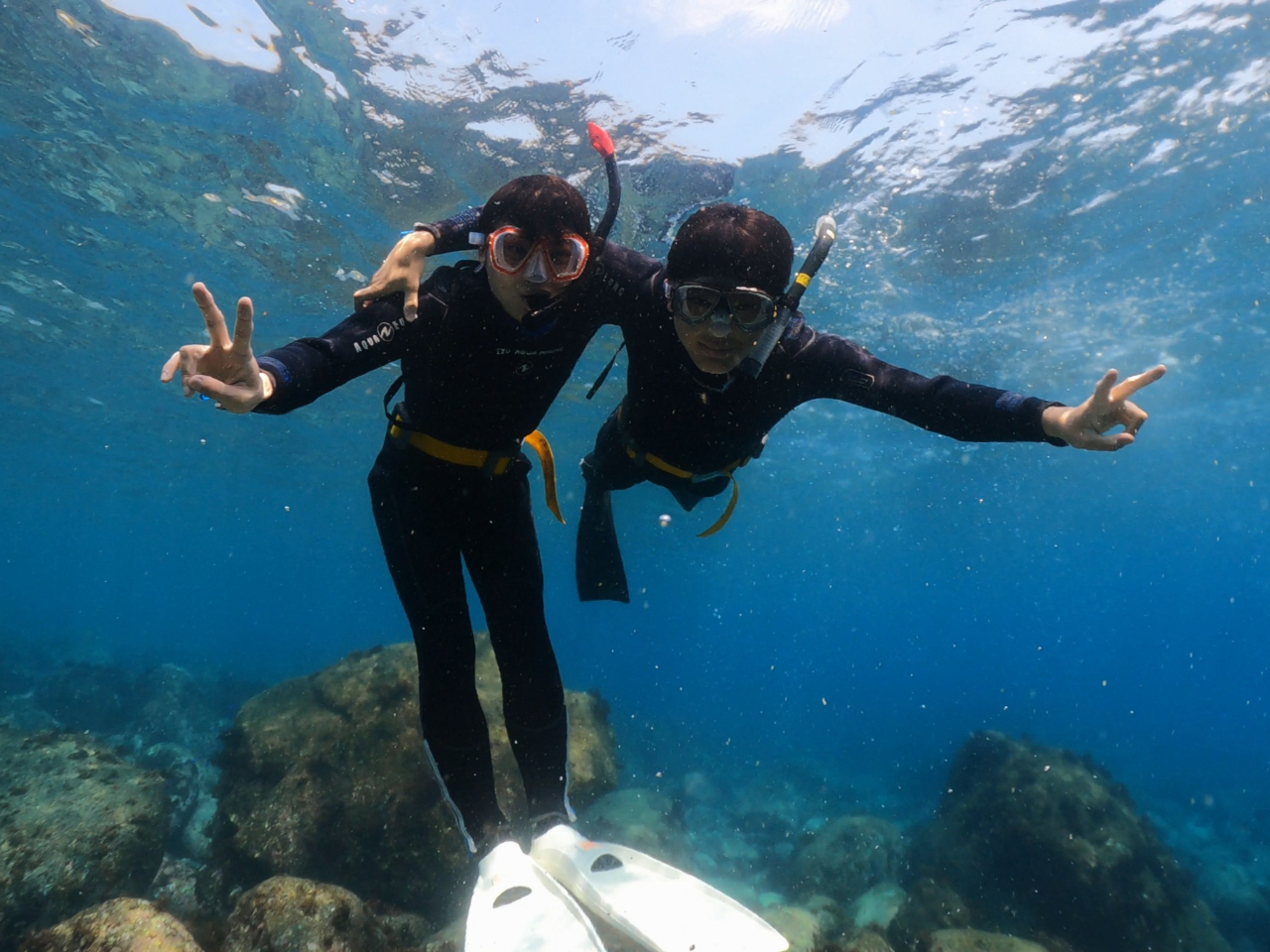 【初心者向け・伊豆の海でスキンダイビング】<施設利用・器材レンタル込み>★お写真...