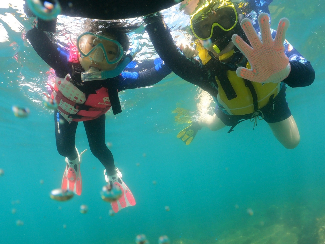 海が初めての小学生でも親子で楽しめます