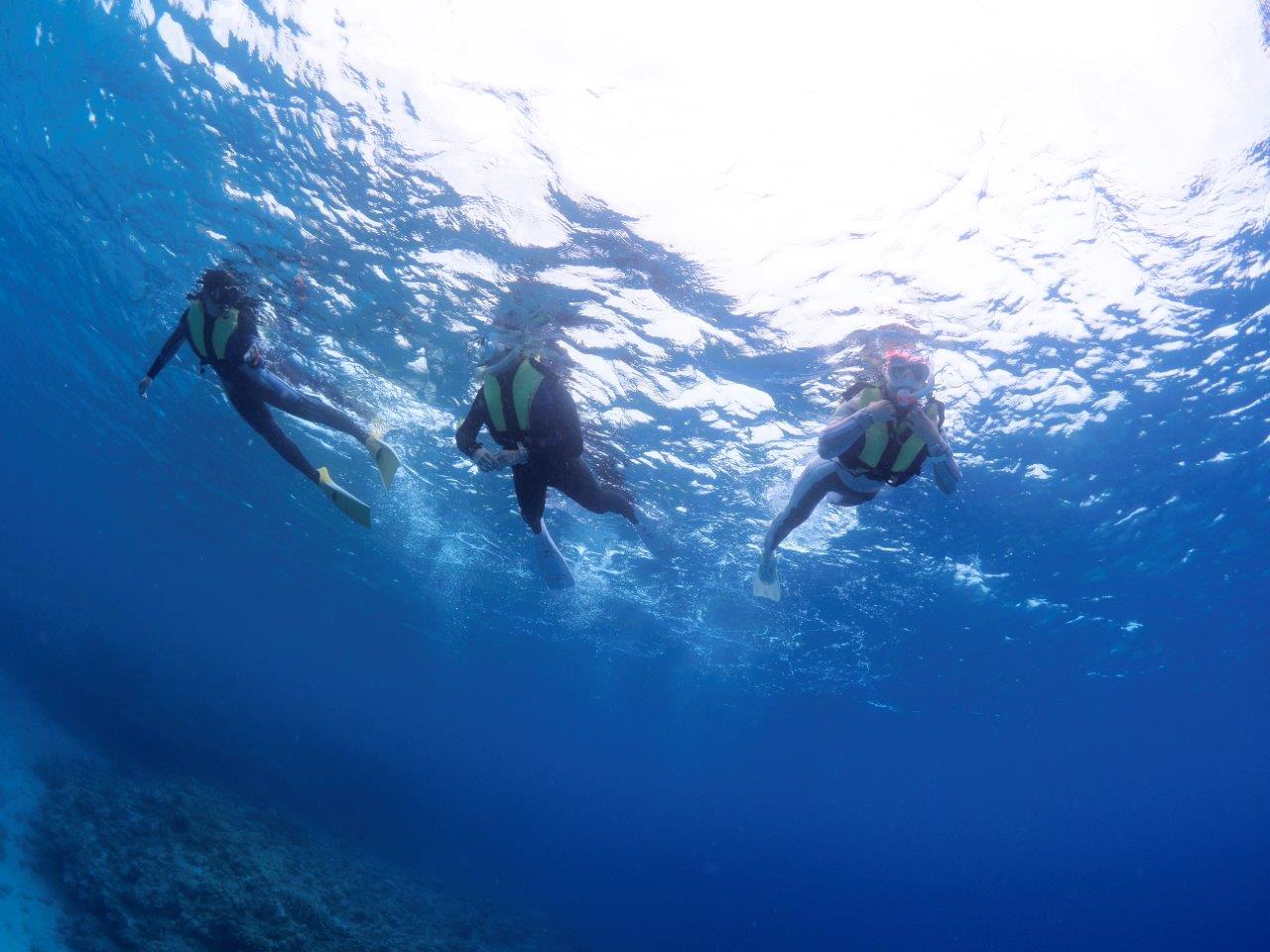 ベストやウエットスーツを簡単に浮くことができるため、泳げない方でも安心です