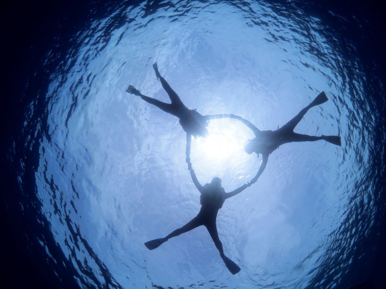 うまくいけばこんな写真をプレゼントできる時もあります