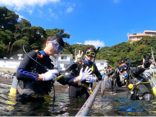 浜から歩いて水に入り足の着くところから始めるので初めてでも安心です