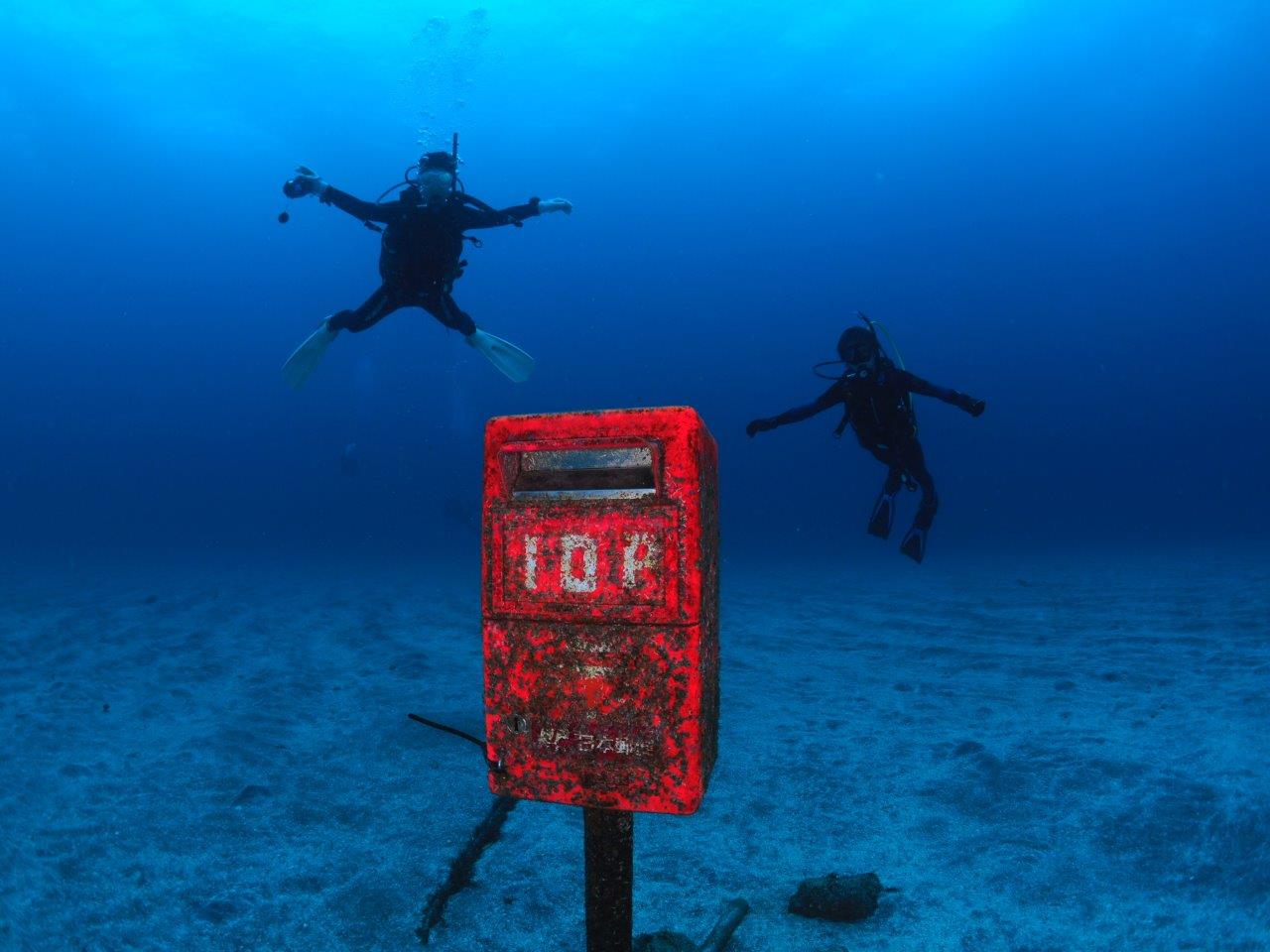 �����|�X�g����͎��ۂɂ��t���𓊔��ł��܂���