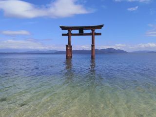 びわ湖の中でも透き通った綺麗な水は一押しポイント♪