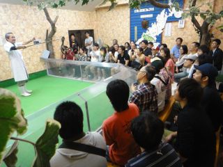 奄美に生息するハブやその他のヘビを巧みに操るヘビ使いが皆様に笑いと驚き、そして奄美大島の伝統を提供します!