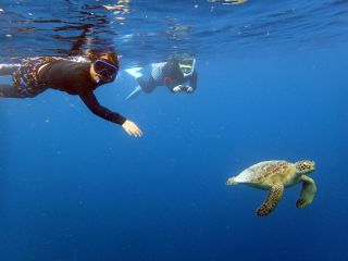 半日でシュノーケルポイントを2〜3ヶ所ご案内致します