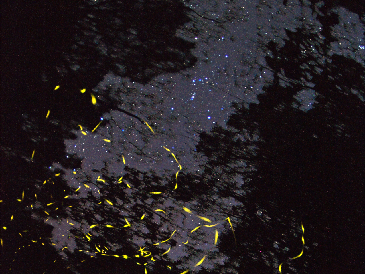 ^ǂ΃z^ƖV̐󂪃ZbgŌ܂