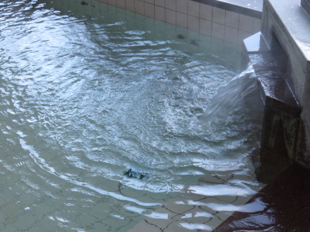 お手軽 日帰り温泉入浴プラン 湯上りには肌がつるつる 新菊川温泉が手軽に楽しめるお一人様や女性にもおすすめ きくがわ温泉 華陽 じゃらん遊び体験 お手軽 日帰り温泉入浴プラン 湯上りには肌がつるつる 新菊川温泉が手軽に楽しめるお一人様や女性にもおすすめ きくがわ温泉 華陽 じゃらん遊び体験