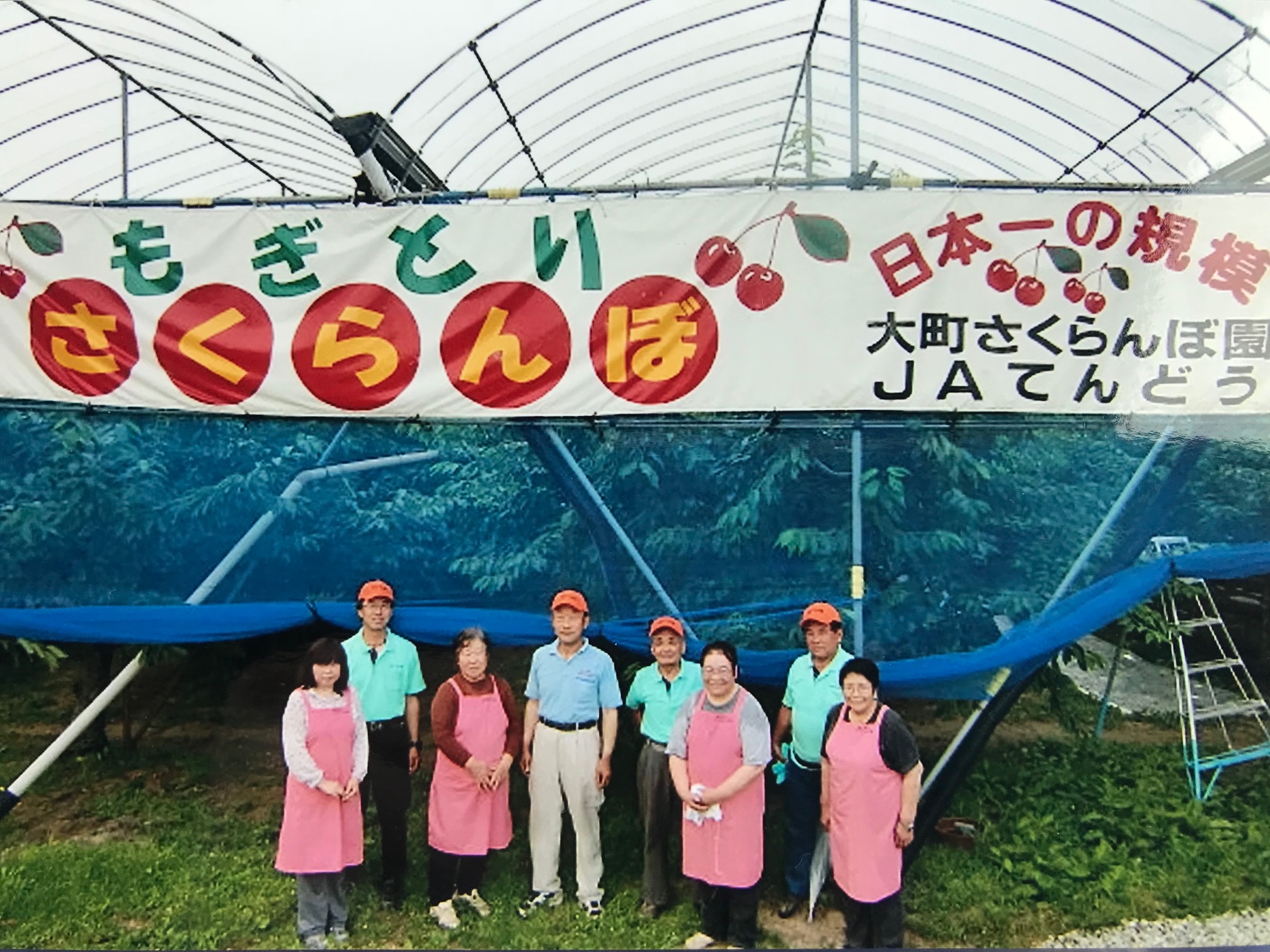 甘さ自慢の旬の*さくらんぼ*を味わう!★雨天でも安心の屋根付き農園*広々とした農...