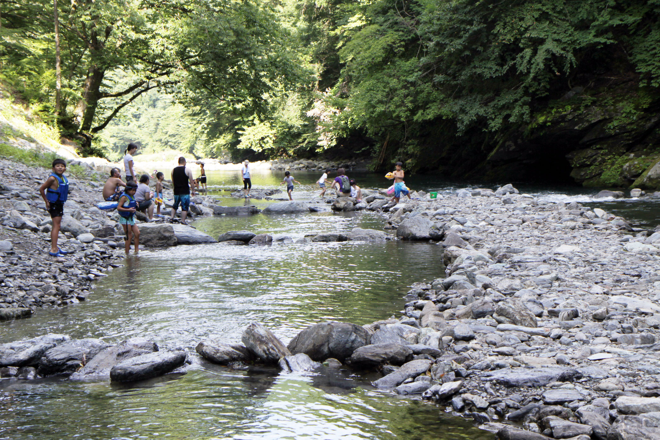 Vсȉ󋵂ɂVׂȂꍇ܂j