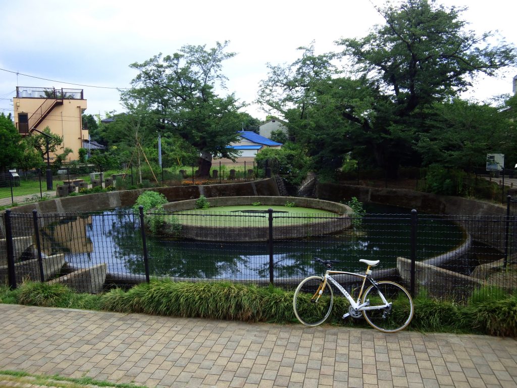 �v�n�~�������i�o�^�L�`�������j