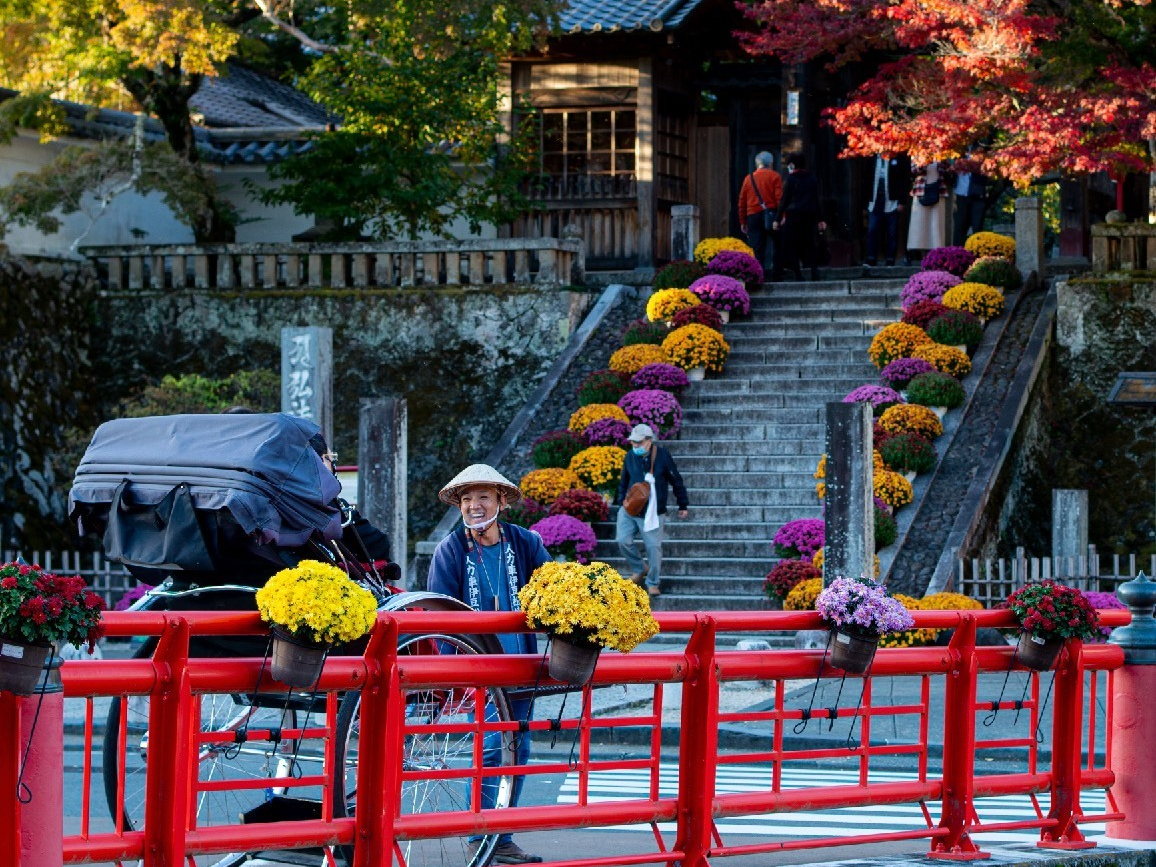 紅葉シーズンは、赤い橋に菊も飾られているのでおすすめのシーズンです。
