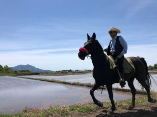 筑波山も目の前に!