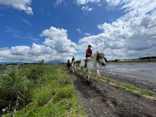 筑波山も目の前に!