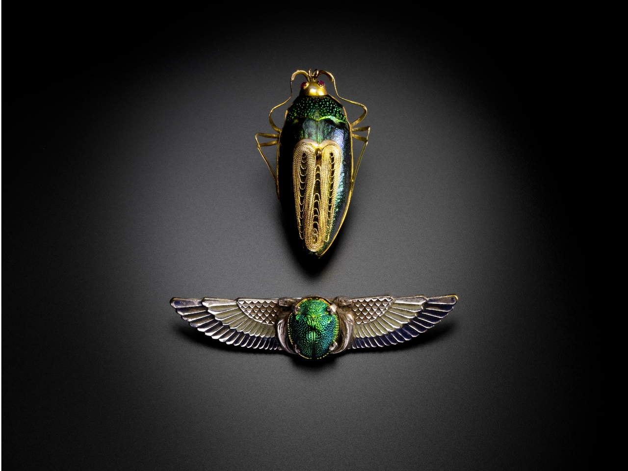 A[k[{[̎̎ۂ̍gĂ钿głBR̒ɔo̔ӎB