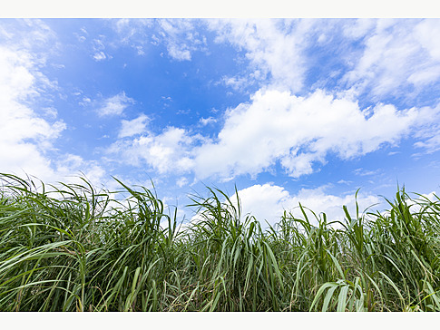 ̔w傫TgELrB傫̂ł͂TȏɂȂ邱ƂI