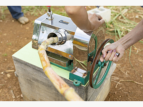 p̍i@ŃTgELrči肽100W[Xɂ܂