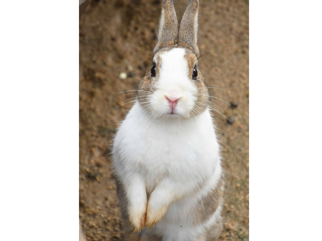 皆様のご予約をお待ちしています