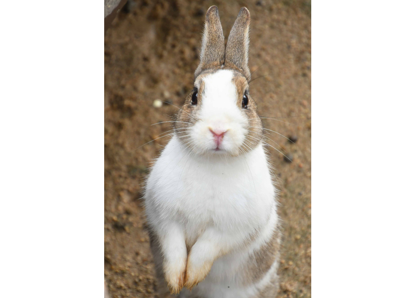 皆様のご予約をお待ちしています