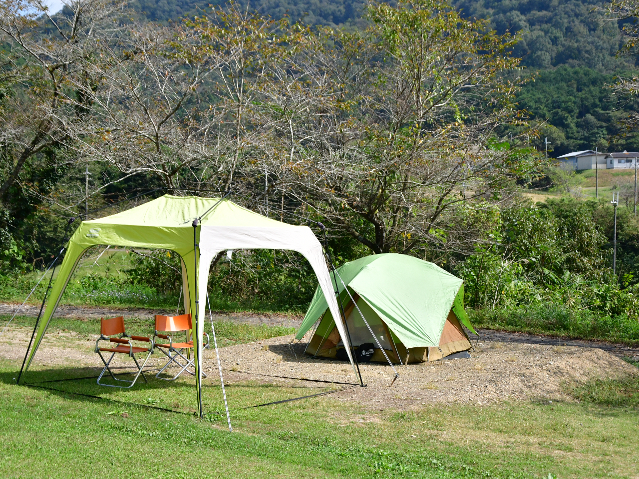 eg^[v߂΁AALvƂĂy߂܂