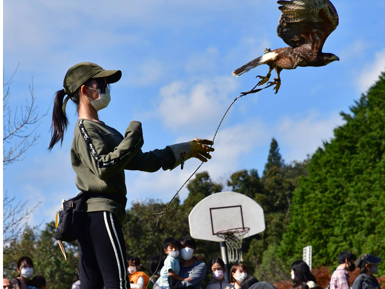 113̈ӂꂠqՂł͐FȍÂy߂܂