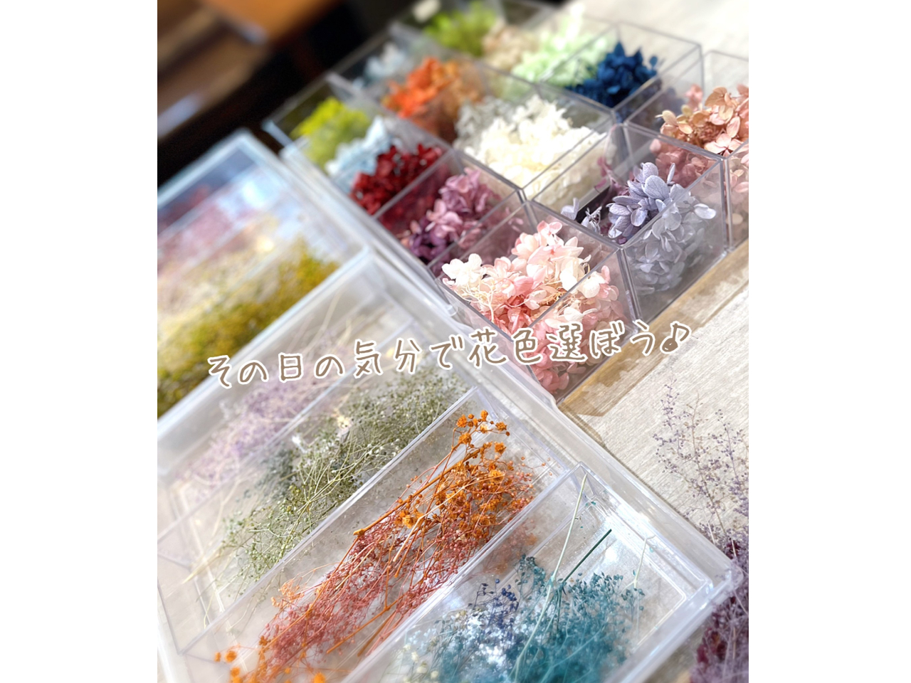 その日の気分で花色はお選びいただけます