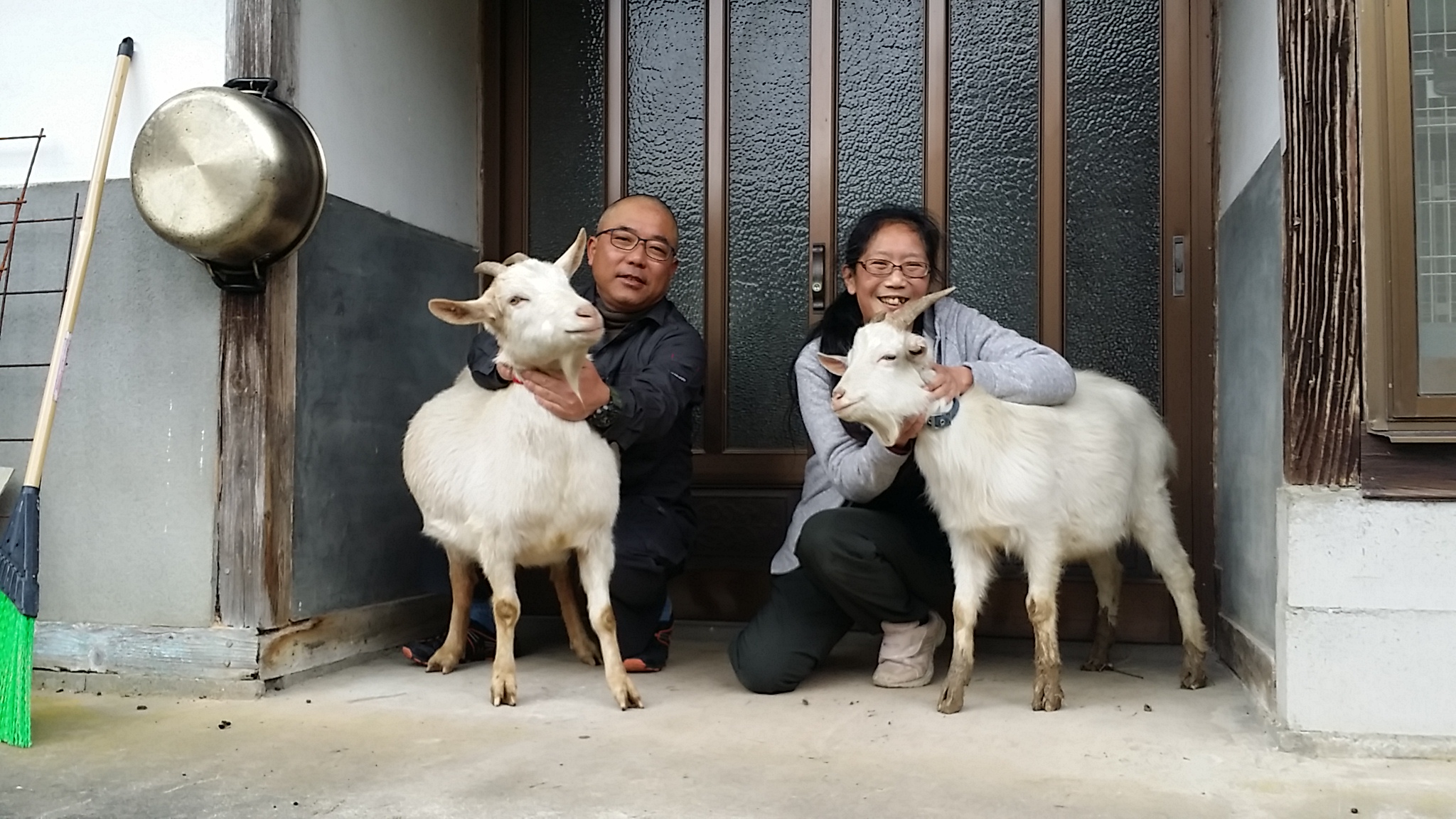 犬 猫 ヤギに囲まれながら行うそば打ち体験 ワンにゃんべぇハウス大江屋 じゃらん遊び体験